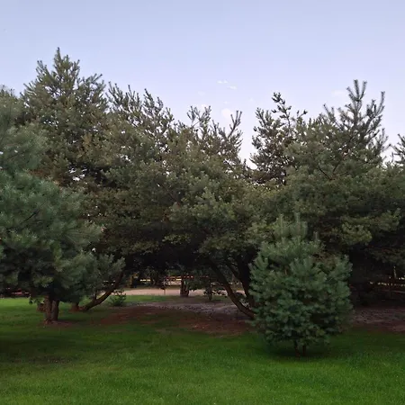 Chill Na Skrzynce Σπίτι διακοπών *