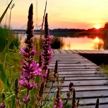 Casa de Férias Chill Na Skrzynce Skrzynka Wielka