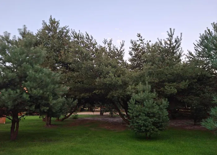 Chill Na Skrzynce Holiday home *